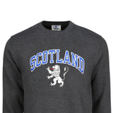 ADULT SWEATSHIRTS | SP SCT/LION