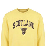 ADULT SWEATSHIRTS | EMB SCT/BR COW 1