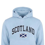 ADULT HOODIES | NVY APL SCT/FLG