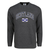 ADULT SWEATSHIRTS | NVY APL SCT/FLG