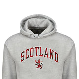 ADULT HOODIES | TRT APL SCT/LIN