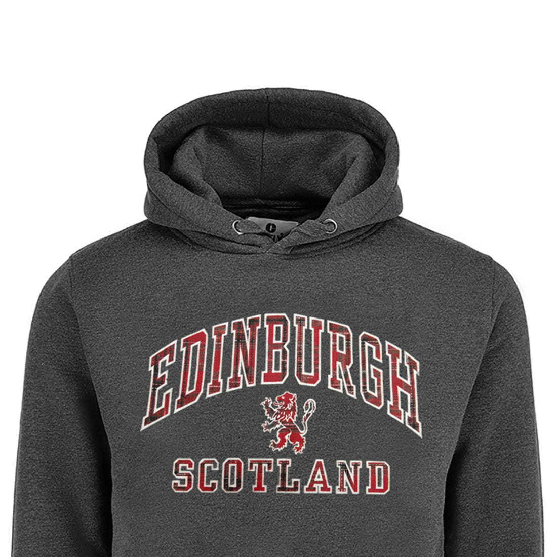 ADULT HOODIES | TRT APL EDN/LIN/SCT