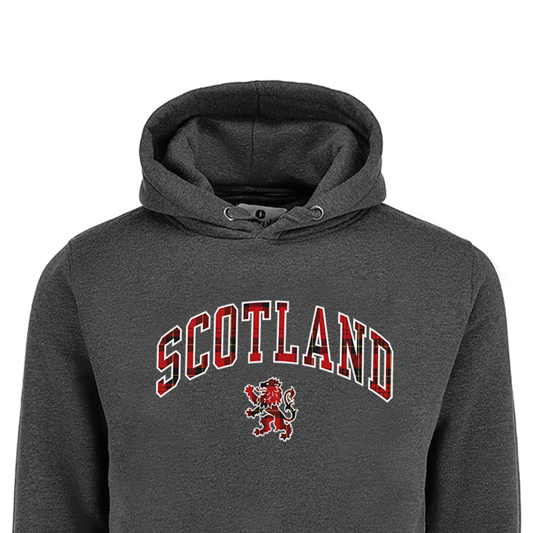 ADULT HOODIES | TRT APL SCT/LIN