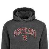 ADULT HOODIES | TRT APL SCT/LIN