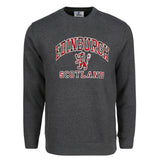ADULT SWEATSHIRTS | TRT APL EDN/LIN/SCT