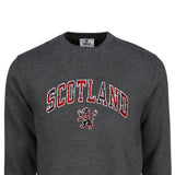 ADULT SWEATSHIRTS | TRT APL SCT/LIN