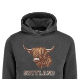 ADULT HOODIES | EMB BULL FACE
