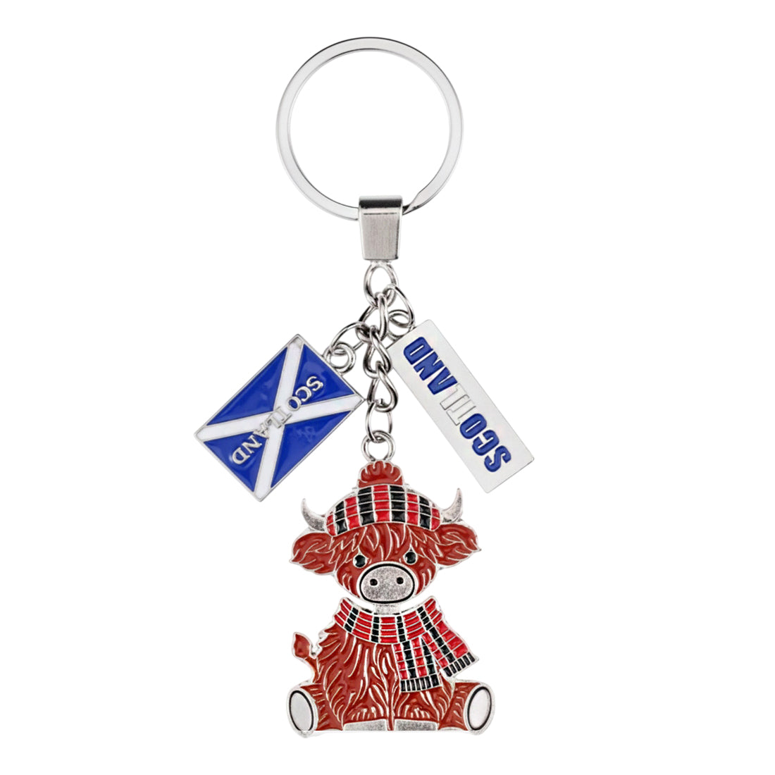 KEYRINGS | CTY-KYRNG-008