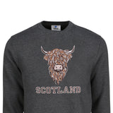 ADULT SWEATSHIRTS | EMB BR COW 1