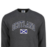 ADULT SWEATSHIRTS | NVY APL SCT/FLG