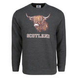 ADULT SWEATSHIRTS | SP BULL FACE