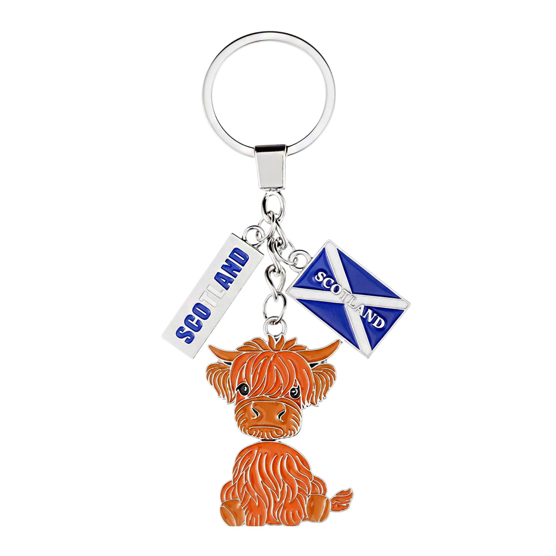 KEYRINGS | CTY-KYRNG-007